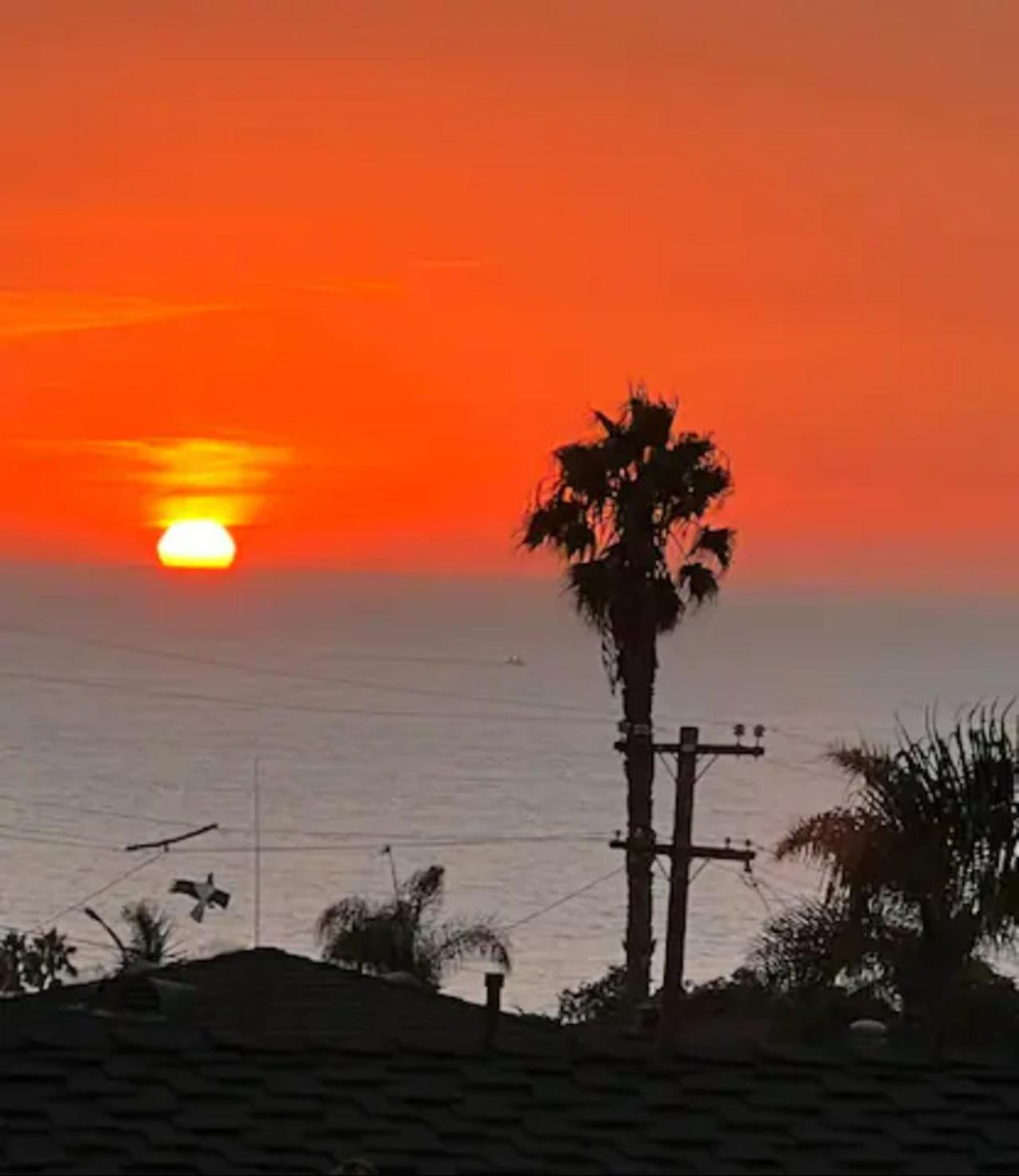סן דייגו Contemporary Ocean Sunset Views With Firepit Pt Loma Close To Plnu מראה חיצוני תמונה